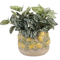Clayre & Eef Planter Ø 19x15 cm Beige Stone Lemons