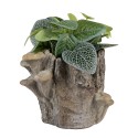 Clayre & Eef Planter 19x17x16 cm Brown Stone