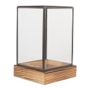 Clayre & Eef Dekorative Anzuchtkasten 12x12x19 cm Transparant Glas