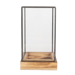 Clayre & Eef Decorative Propagation Box 14x14x24 cm Transparent Glass