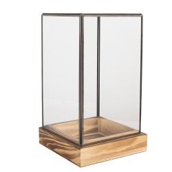 Clayre & Eef Decorative Propagation Box 14x14x24 cm Transparent Glass