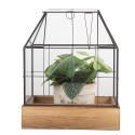 Clayre & Eef Dekorative Anzuchtkasten 26x17x32 cm Transparant Glas