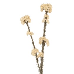 Clayre & Eef Artificial Flower 58 cm White Plastic