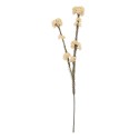 Clayre & Eef Artificial Flower 58 cm White Plastic