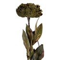 Clayre & Eef Kunstblume 65 cm Grün Kunststoff
