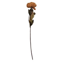 Clayre & Eef Kunstblume 65 cm Braun Kunststoff