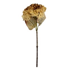 Clayre & Eef Kunstblume 47 cm Beige Kunststoff