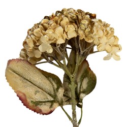 Clayre & Eef Kunstblume 47 cm Beige Kunststoff