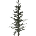 Clayre & Eef Decoration Tree 35x35x150 cm Green Plastic