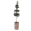 Clayre & Eef Mini Artificial Christmas Tree 14x14x60 cm Green Wood
