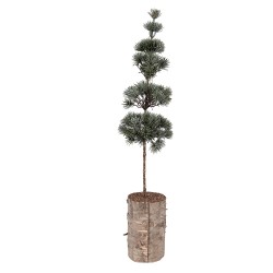 Clayre & Eef Mini Artificial Christmas Tree 14x14x60 cm Green Wood