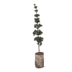 Clayre & Eef Mini Artificial Christmas Tree 15x15x80 cm Green Wood