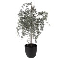 Clayre & Eef Artificial Plant 30x30x60 cm Green Plastic