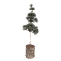 Clayre & Eef Mini Artificial Christmas Tree 14x14x45 cm Green Wood