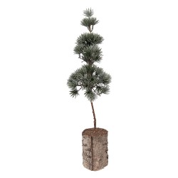 Clayre & Eef Mini Artificial Christmas Tree 14x14x45 cm Green Wood