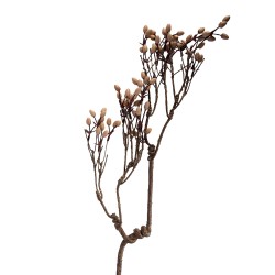 Clayre & Eef Decoratie Tak 30x4x85 cm Bruin Kunststof