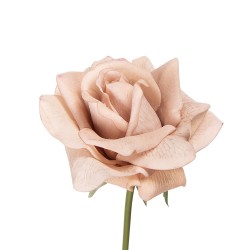 Clayre & Eef Fiore artificiale Rosa 35 cm Beige Plastica