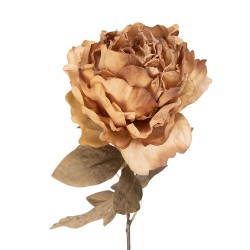 Clayre & Eef Artificial Flower 70 cm Beige Plastic