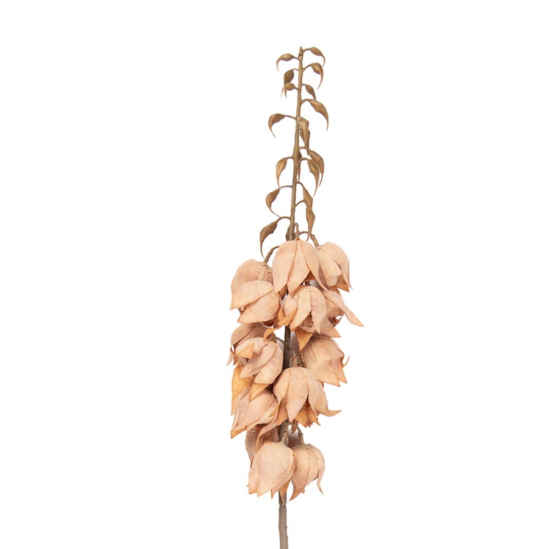Clayre & Eef Artificial Flower 100 cm Brown Plastic