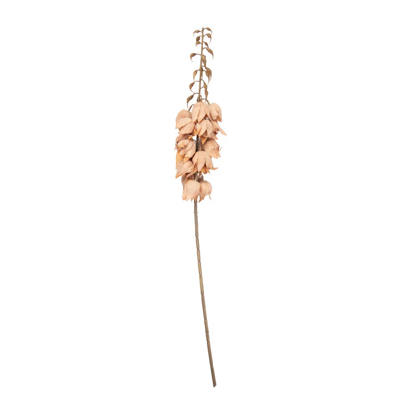 Clayre & Eef Artificial Flower 100 cm Brown Plastic