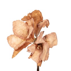 Clayre & Eef Kunstbloem 65 cm Bruin Kunststof