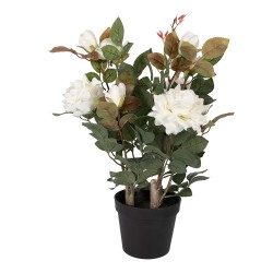 Clayre & Eef Piante artificiale Rosa 20x20x55 cm Bianco Plastica