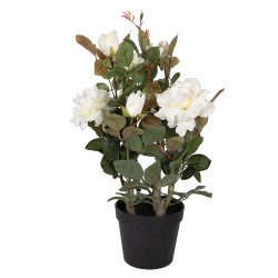 Clayre & Eef Piante artificiale Rosa 20x20x55 cm Bianco Plastica