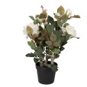 Clayre & Eef Piante artificiale Rosa 20x20x55 cm Bianco Plastica