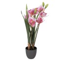 Clayre & Eef Artificial Plant 14x14x55 cm Pink Plastic