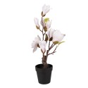 Clayre & Eef Albero artificiale Magnolia 12x12x40 cm Bianco Plastica