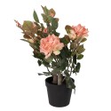 Clayre & Eef Piante artificiale Rosa 20x20x55 cm Rosa Plastica