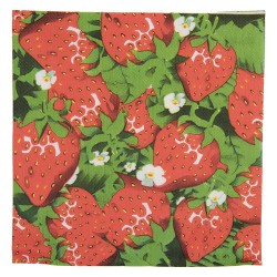 Clayre & Eef Servetten Papier Set van 20 33x33 cm Rood Papier