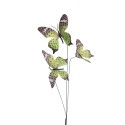Clayre & Eef Branche décoration Papillon 10x10x65 cm Vert Textile