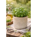 Clayre & Eef Blumentopf Ø 18x16 cm Grau Keramik
