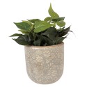 Clayre & Eef Blumentopf Ø 20x19 cm Grau Keramik