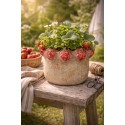 Clayre & Eef Fioriera Ø 15x12 cm Beige Terracotta