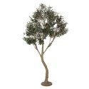 Clayre & Eef Artificial Olive Tree 250 cm Green Plastic