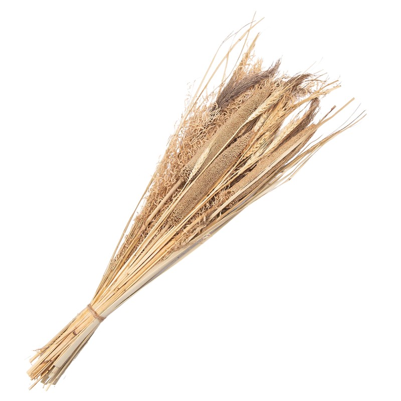 Clayre & Eef Droogbloemen 80 cm Beige Droogbloemen