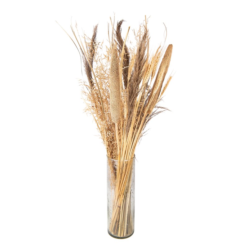 Clayre & Eef Droogbloemen 80 cm Beige Droogbloemen
