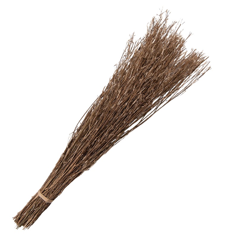 Clayre & Eef Fiori secchi 80 cm Beige Fiori secchi