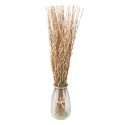 Clayre & Eef Fiori secchi 80 cm Beige Fiori secchi