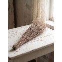 Clayre & Eef Fiori secchi 80 cm Beige Fiori secchi