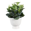 Clayre & Eef Bloempot Ø 17x15 cm Wit Keramiek Gezicht