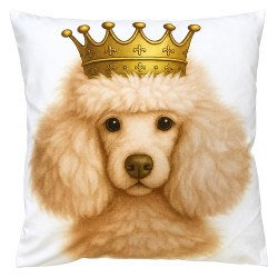 Clayre & Eef Decorative Cushion 45x45 cm Beige Polyester