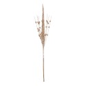 Clayre & Eef Branche décoration Beige Plastique