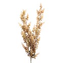 Clayre & Eef Fiore artificiale Beige Plastica