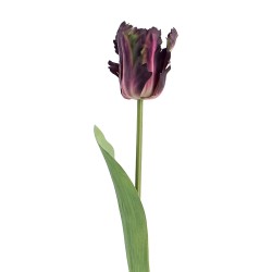 Clayre & Eef Fiore artificiale Viola Plastica