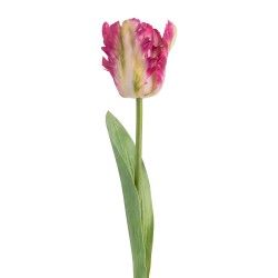 Clayre & Eef Artificial Flower Pink Plastic