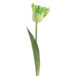 Clayre & Eef Fleur artificielle Vert Plastique