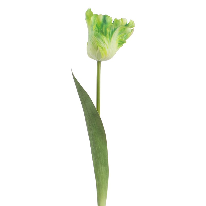 Clayre & Eef Fleur artificielle Vert Plastique